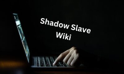 Shadow Slave Wiki