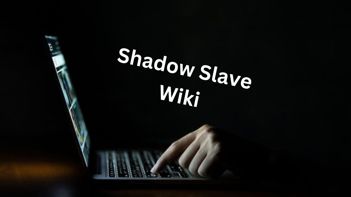 Shadow Slave Wiki