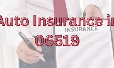 Auto Insurance in 06519
