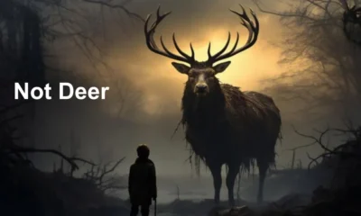 Not Deer