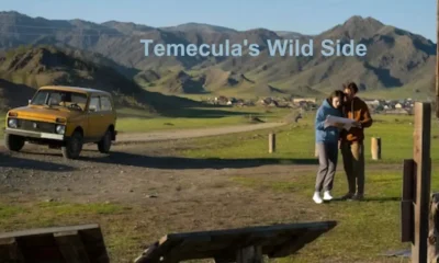 Temecula's Wild Side