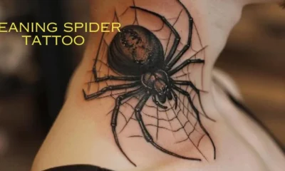 Meaning of Spider Tattoo