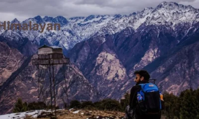 Himalayan Resting Place